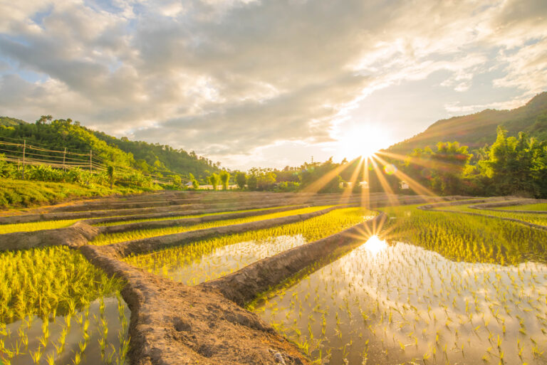 2026 Solar Energy and Photovoltaics in Italy and Incentives for International Buyers